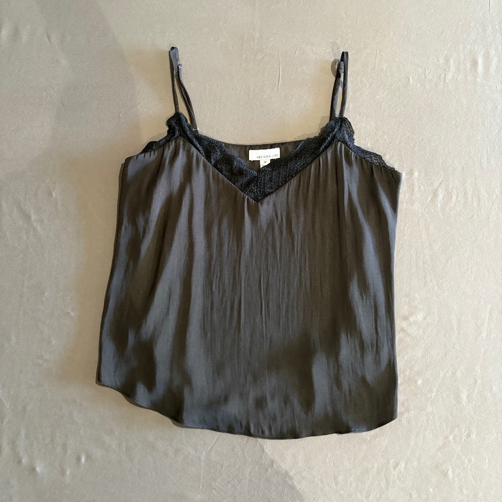 Allison Joy (Evereve) Satin Slip Tank with Lace Detailing